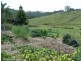315 Sargents Road, Kyogle NSW 2474