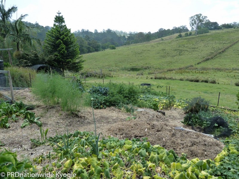 315 Sargents Road, Kyogle NSW 2474