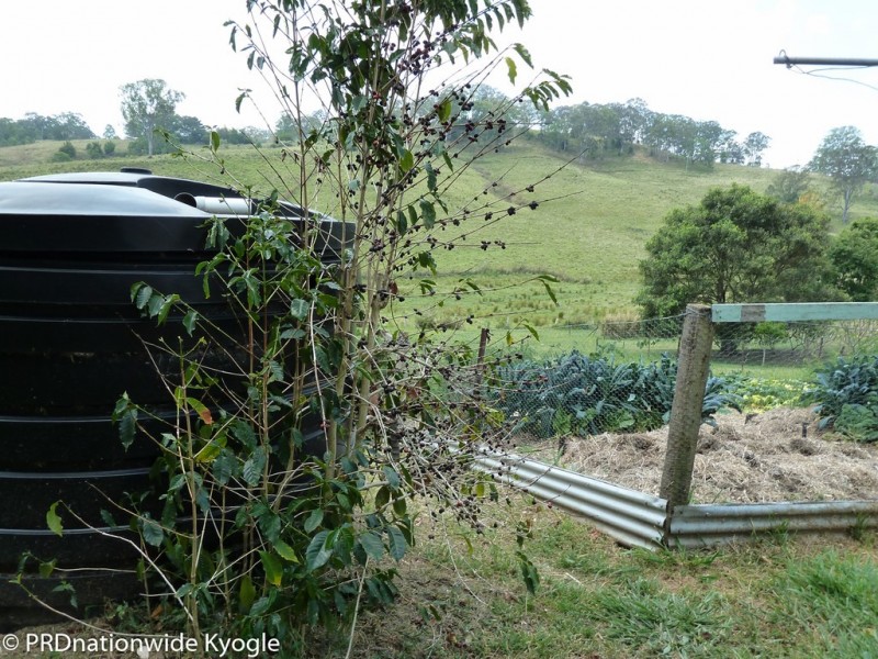 315 Sargents Road, Kyogle NSW 2474