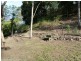 5381 Kyogle Road, Cawongla via, Kyogle NSW 2474