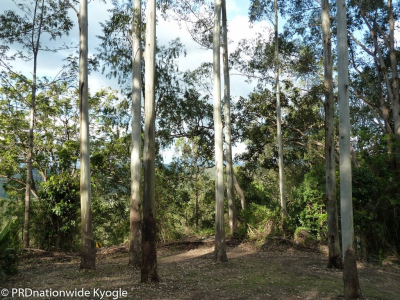 5381 Kyogle Road, Cawongla via, Kyogle NSW 2474