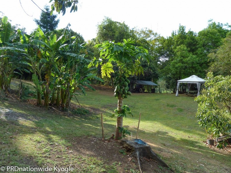 5381 Kyogle Road, Cawongla via, Kyogle NSW 2474