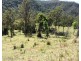 1010 Smiths Creek Road, Smiths Creek Via, Kyogle NSW 2474