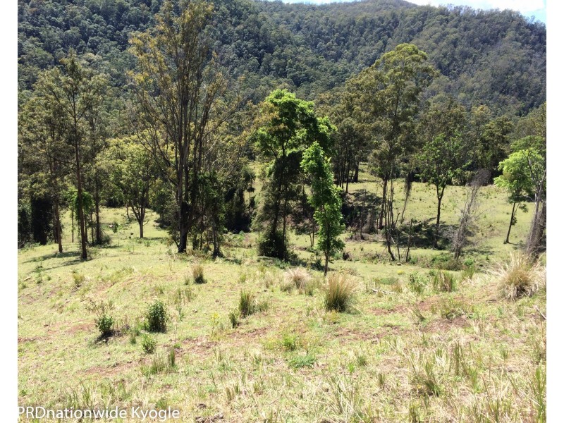 1010 Smiths Creek Road, Smiths Creek Via, Kyogle NSW 2474