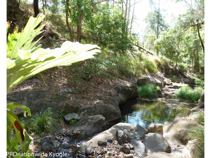 1010 Smiths Creek Road, Smiths Creek Via, Kyogle NSW 2474