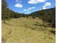 1010 Smiths Creek Road, Smiths Creek Via, Kyogle NSW 2474