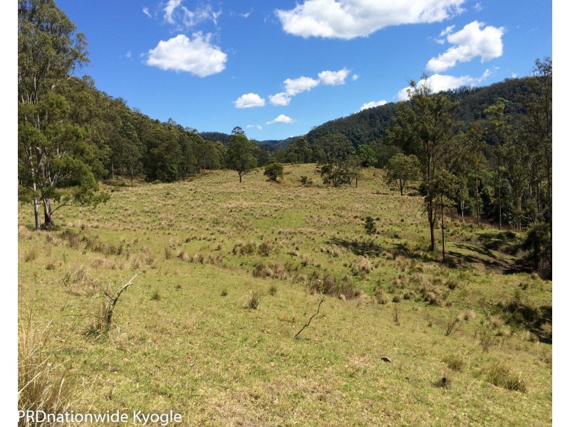 1010 Smiths Creek Road, Smiths Creek Via, Kyogle NSW 2474