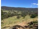 1010 Smiths Creek Road, Smiths Creek Via, Kyogle NSW 2474