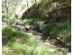 1010 Smiths Creek Road, Smiths Creek Via, Kyogle NSW 2474