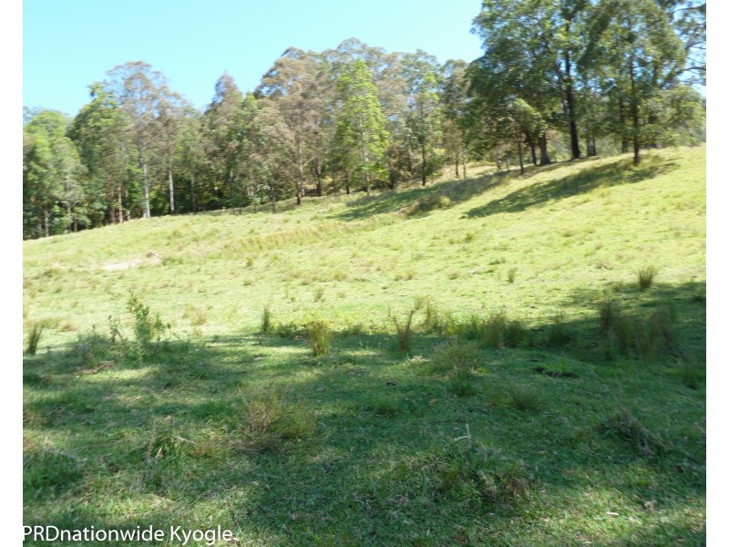 1010 Smiths Creek Road, Smiths Creek Via, Kyogle NSW 2474
