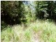 1010 Smiths Creek Road, Smiths Creek Via, Kyogle NSW 2474