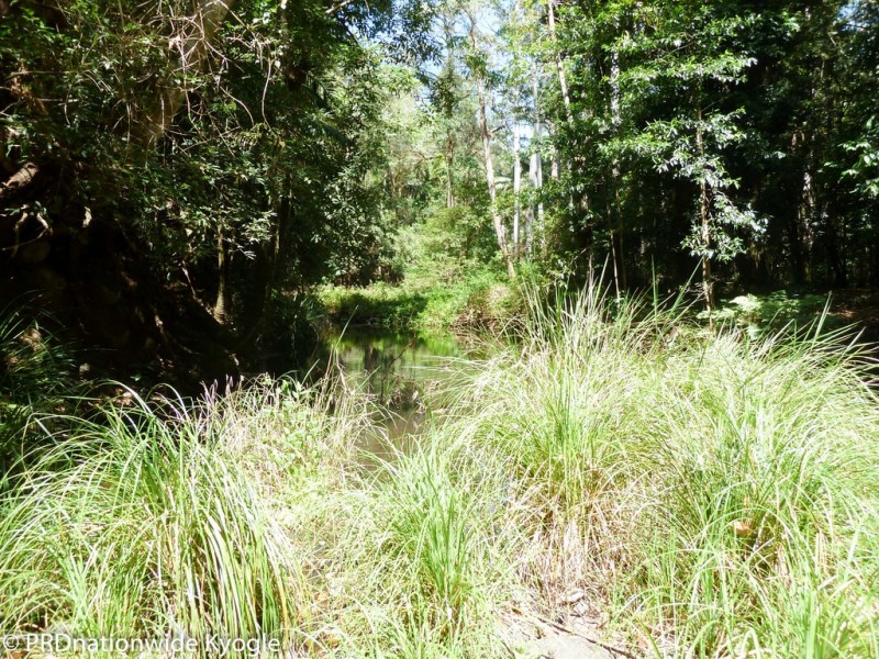1010 Smiths Creek Road, Smiths Creek Via, Kyogle NSW 2474
