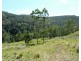 1010 Smiths Creek Road, Smiths Creek Via, Kyogle NSW 2474