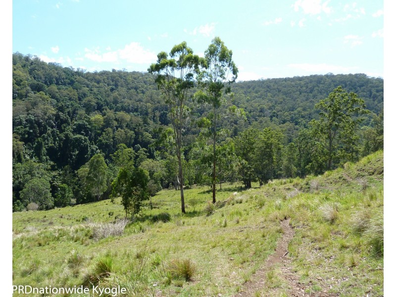 1010 Smiths Creek Road, Smiths Creek Via, Kyogle NSW 2474