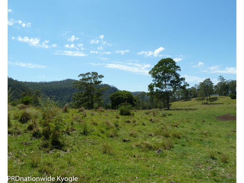 1010 Smiths Creek Road, Smiths Creek Via, Kyogle NSW 2474