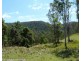 1010 Smiths Creek Road, Smiths Creek Via, Kyogle NSW 2474
