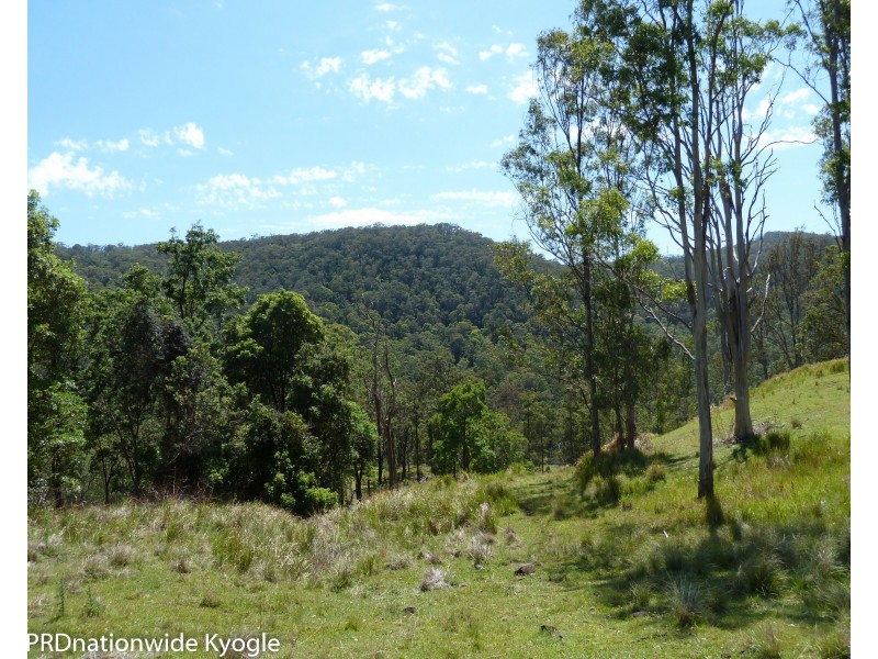 1010 Smiths Creek Road, Smiths Creek Via, Kyogle NSW 2474