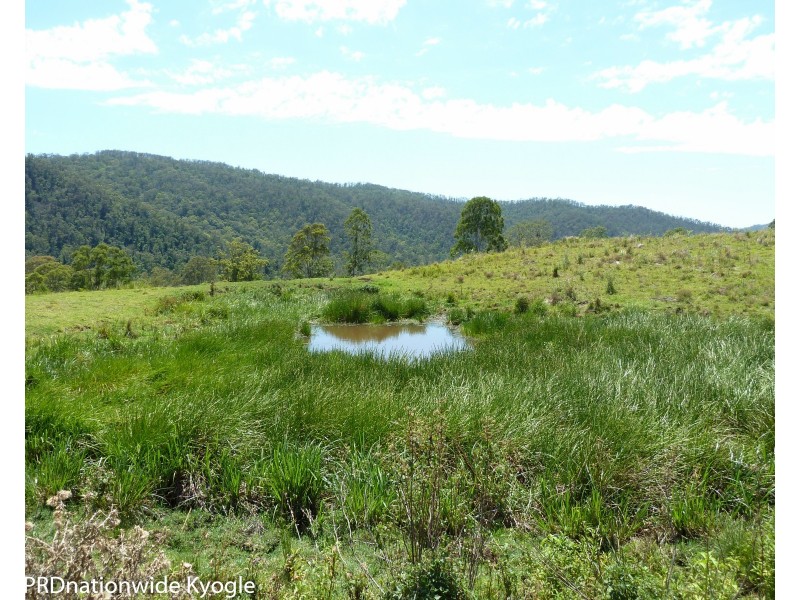 1010 Smiths Creek Road, Smiths Creek Via, Kyogle NSW 2474