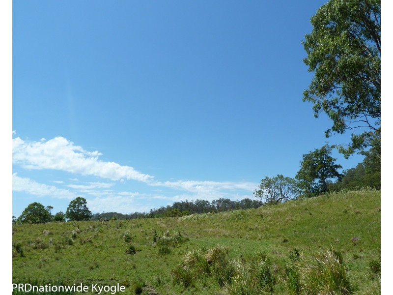 1010 Smiths Creek Road, Smiths Creek Via, Kyogle NSW 2474