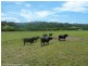 lot11 Afterlee Road, Kyogle NSW 2474