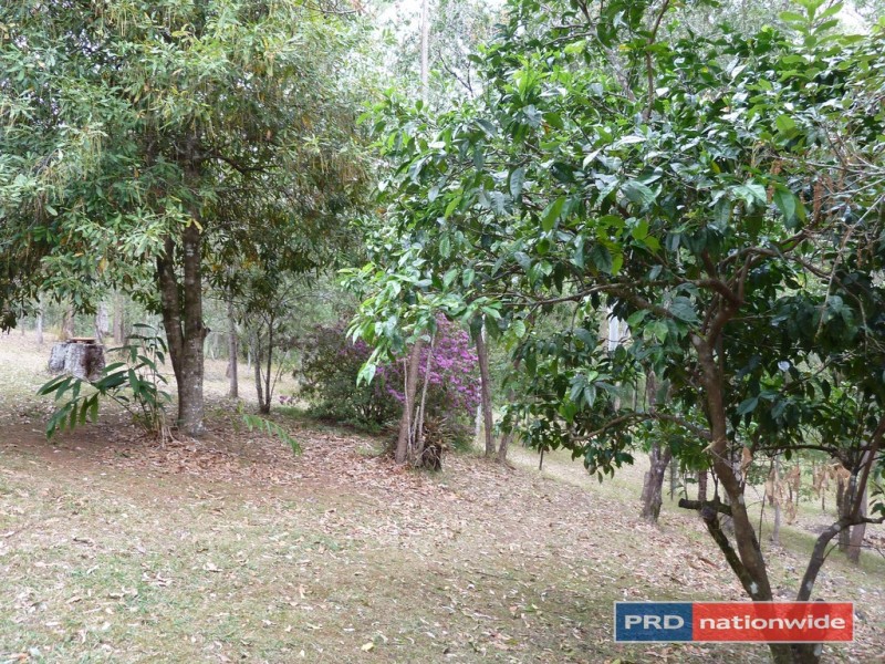 2376 Collins Creek Road, Kyogle NSW 2474