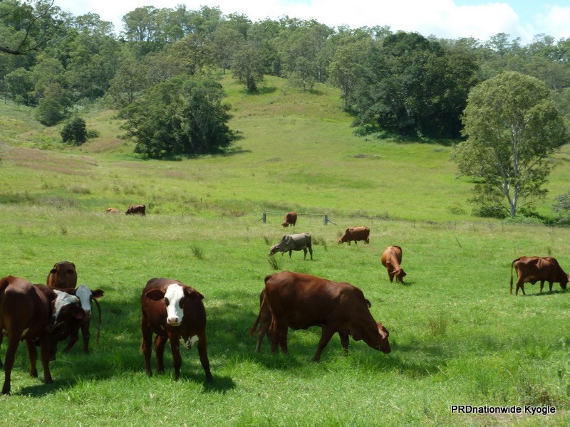 466 Dunns Road, Doubtful Creek, Kyogle NSW 2474