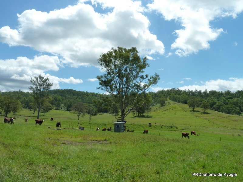466 Dunns Road, Doubtful Creek, Kyogle NSW 2474