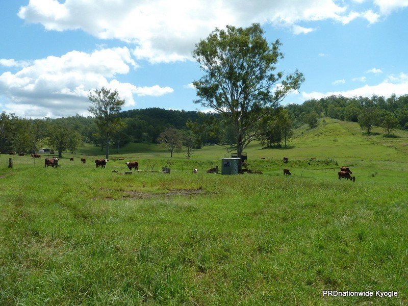 466 Dunns Road, Doubtful Creek, Kyogle NSW 2474