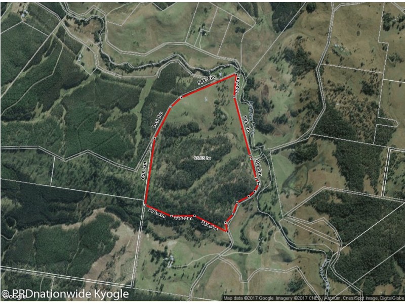 8//DP1152135 Pigman Road, Dyraaba, Kyogle NSW 2474