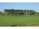 333 Upper Stratheden Road, Stratheden Via, Kyogle NSW 2474