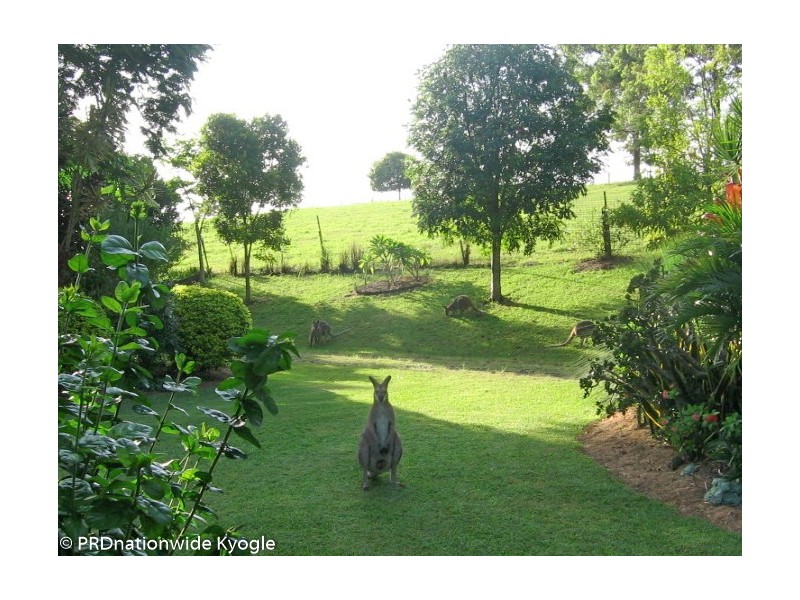 333 Upper Stratheden Road, Stratheden Via, Kyogle NSW 2474