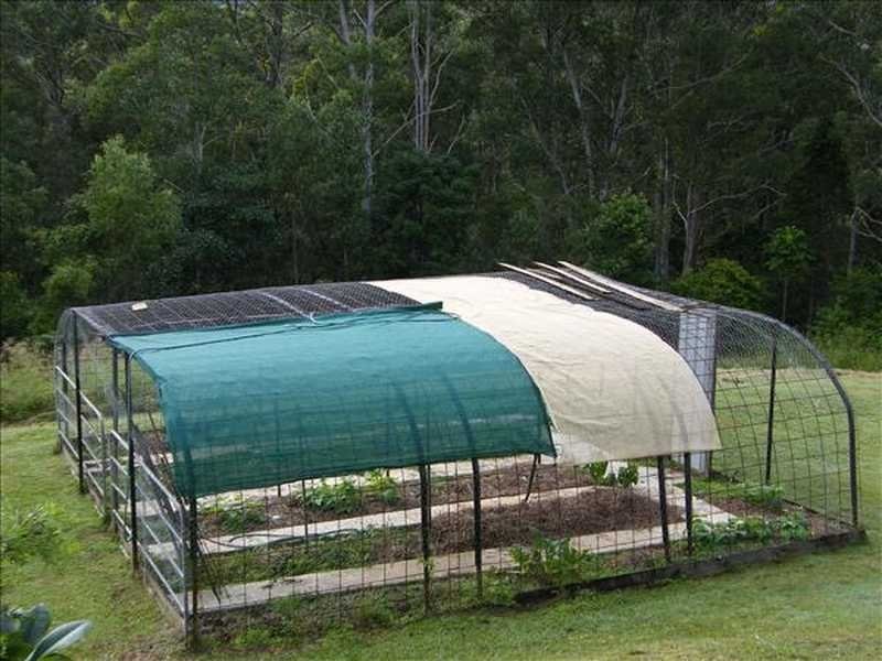 248 Smiths Creek Road, Kyogle NSW 2474