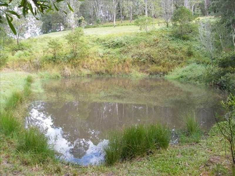 248 Smiths Creek Road, Kyogle NSW 2474