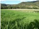405 Findon Creek Road, Kyogle NSW 2474