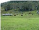 405 Findon Creek Road, Kyogle NSW 2474