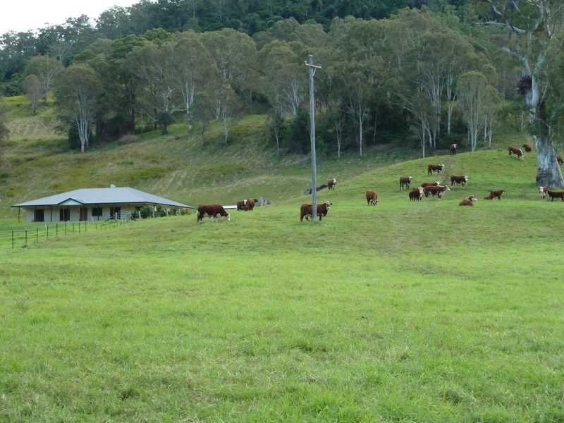 405 Findon Creek Road, Kyogle NSW 2474