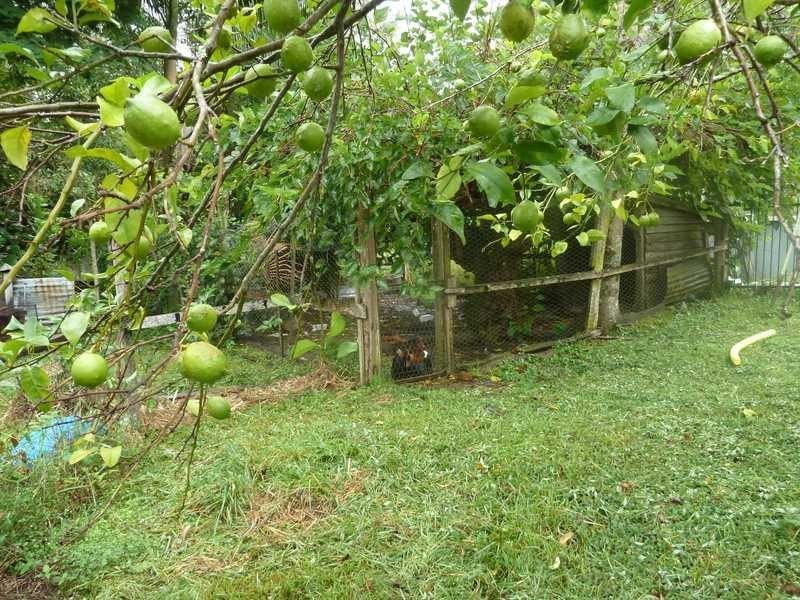 1053 Green Pigeon Road, Kyogle NSW 2474