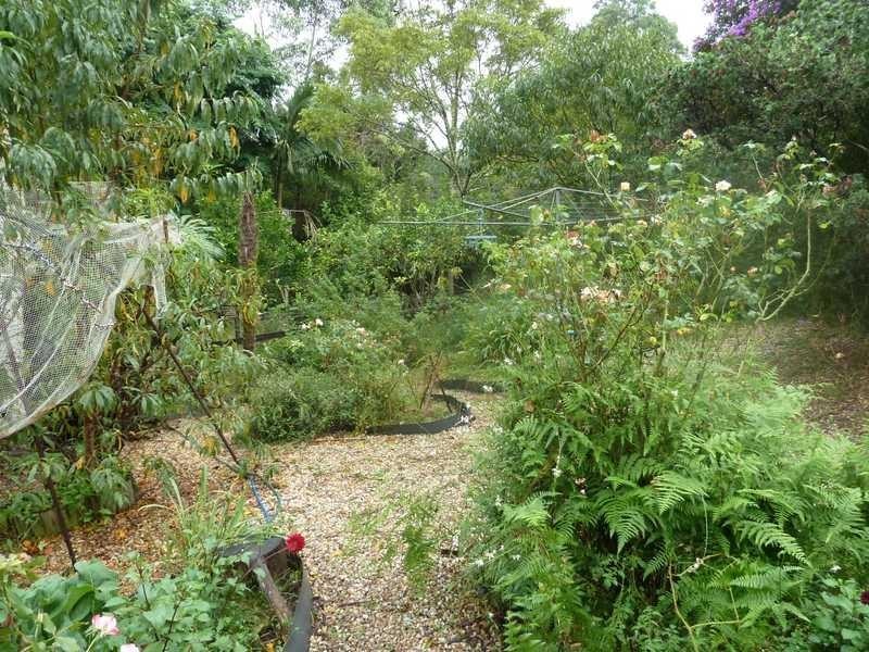 1053 Green Pigeon Road, Kyogle NSW 2474