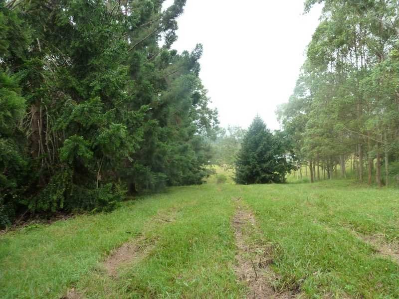 1053 Green Pigeon Road, Kyogle NSW 2474