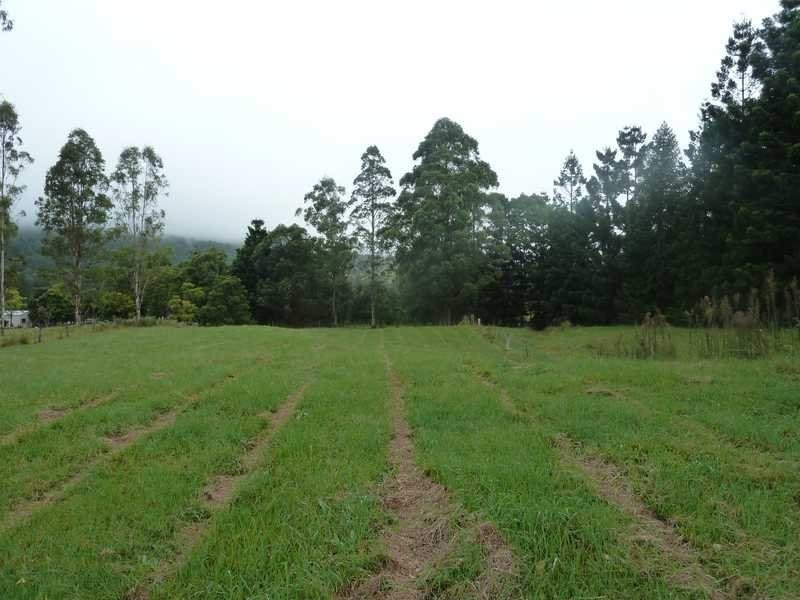 1053 Green Pigeon Road, Kyogle NSW 2474