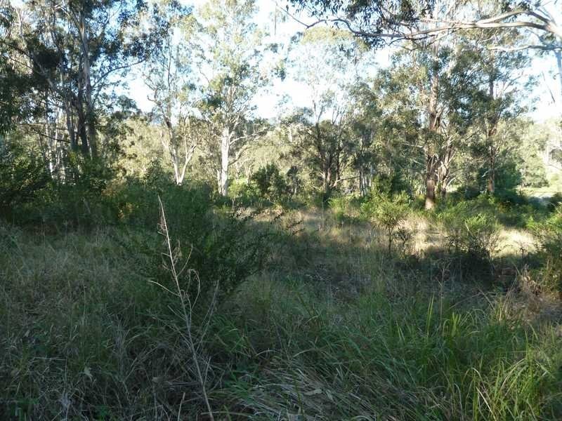 Lot 3 Forest Avenue Urbenville, Urbenville NSW 2475
