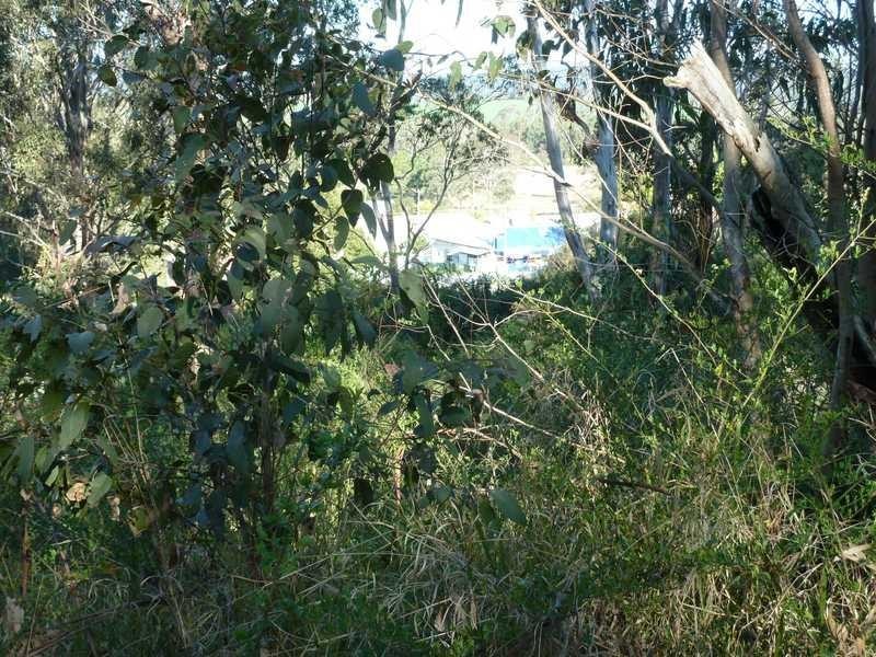 Lot 3 Forest Avenue Urbenville, Urbenville NSW 2475