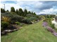 251 Collins Creek Road, Collins Creek Via, Kyogle NSW 2474