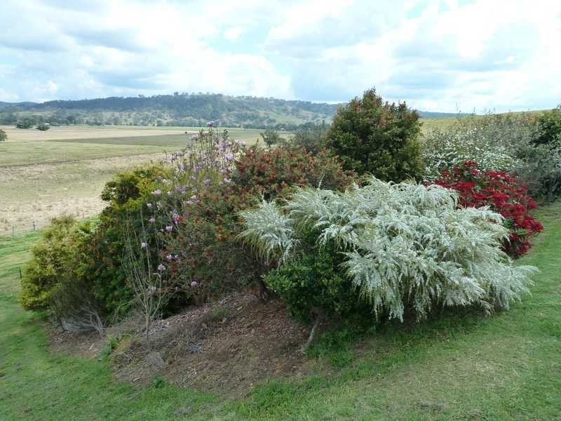 251 Collins Creek Road, Collins Creek Via, Kyogle NSW 2474