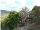 251 Collins Creek Road, Collins Creek Via, Kyogle NSW 2474