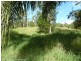 1337 Wiangaree Back Road, Kyogle NSW 2474