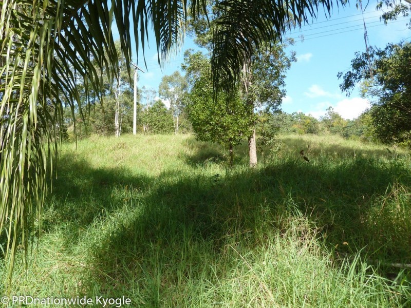 1337 Wiangaree Back Road, Kyogle NSW 2474