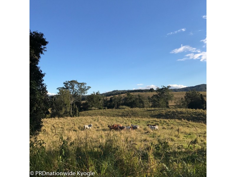 258 Iron Pot Creek Road, Ettrick via, Kyogle NSW 2474