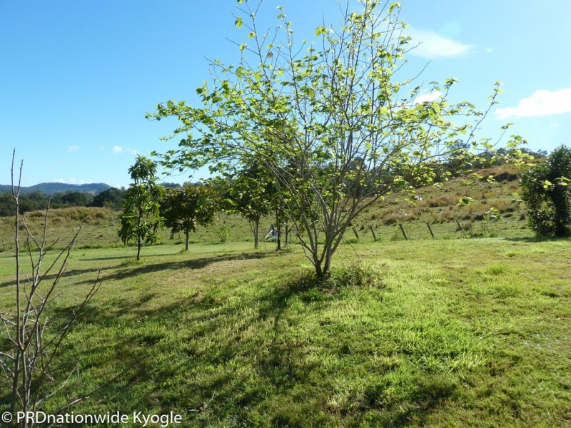 258 Iron Pot Creek Road, Ettrick via, Kyogle NSW 2474