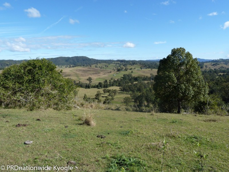 258 Iron Pot Creek Road, Ettrick via, Kyogle NSW 2474